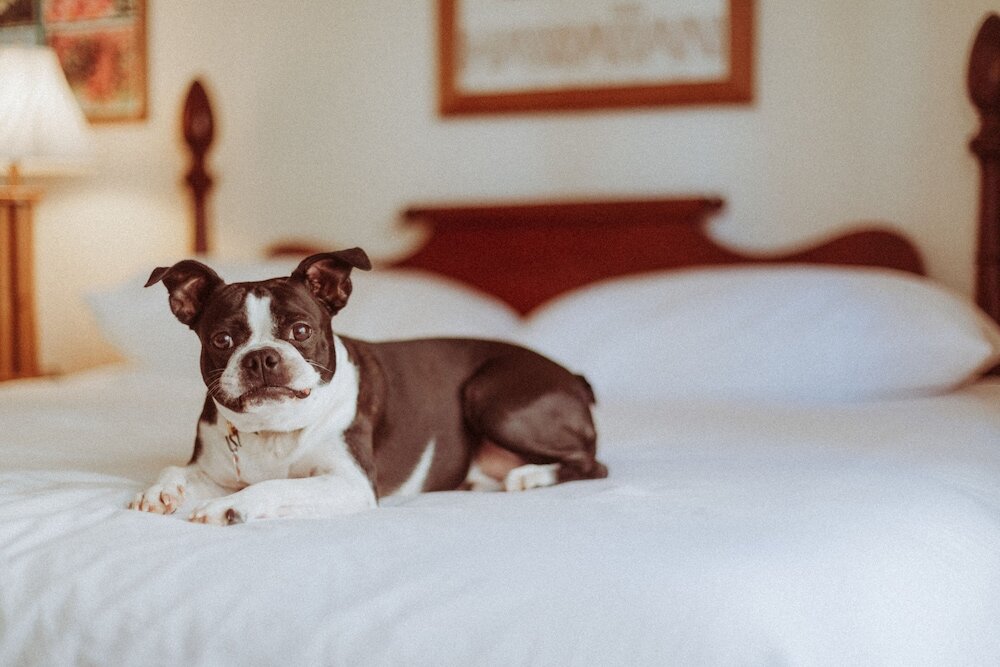 Фото Royal Grove Waikiki