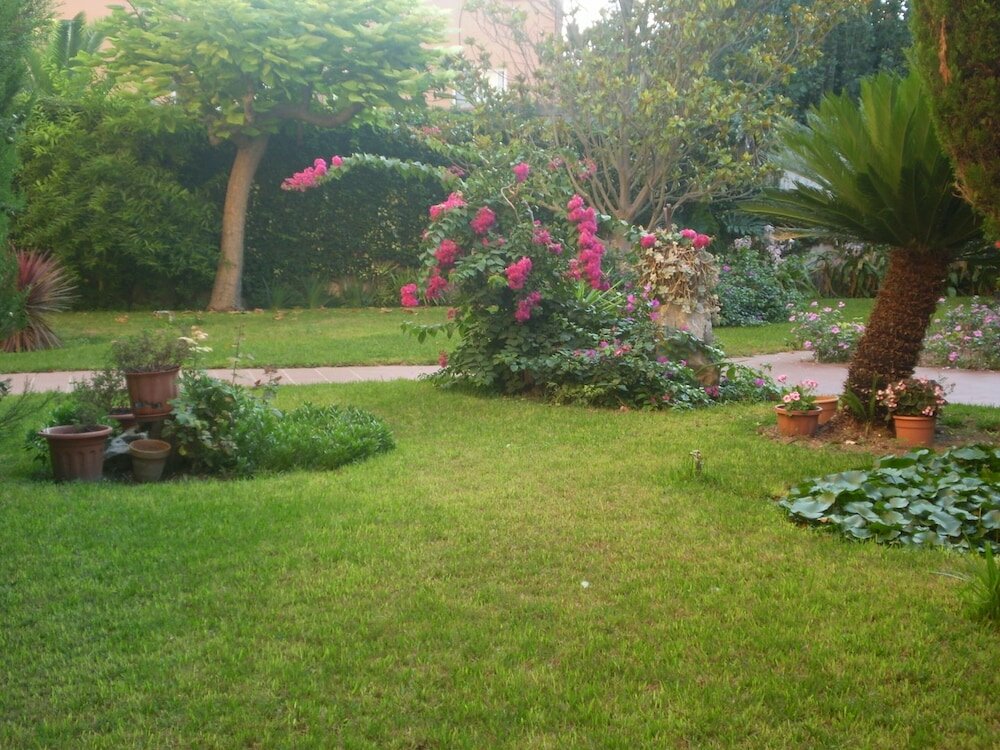 Фото Apartamentos El Oasis