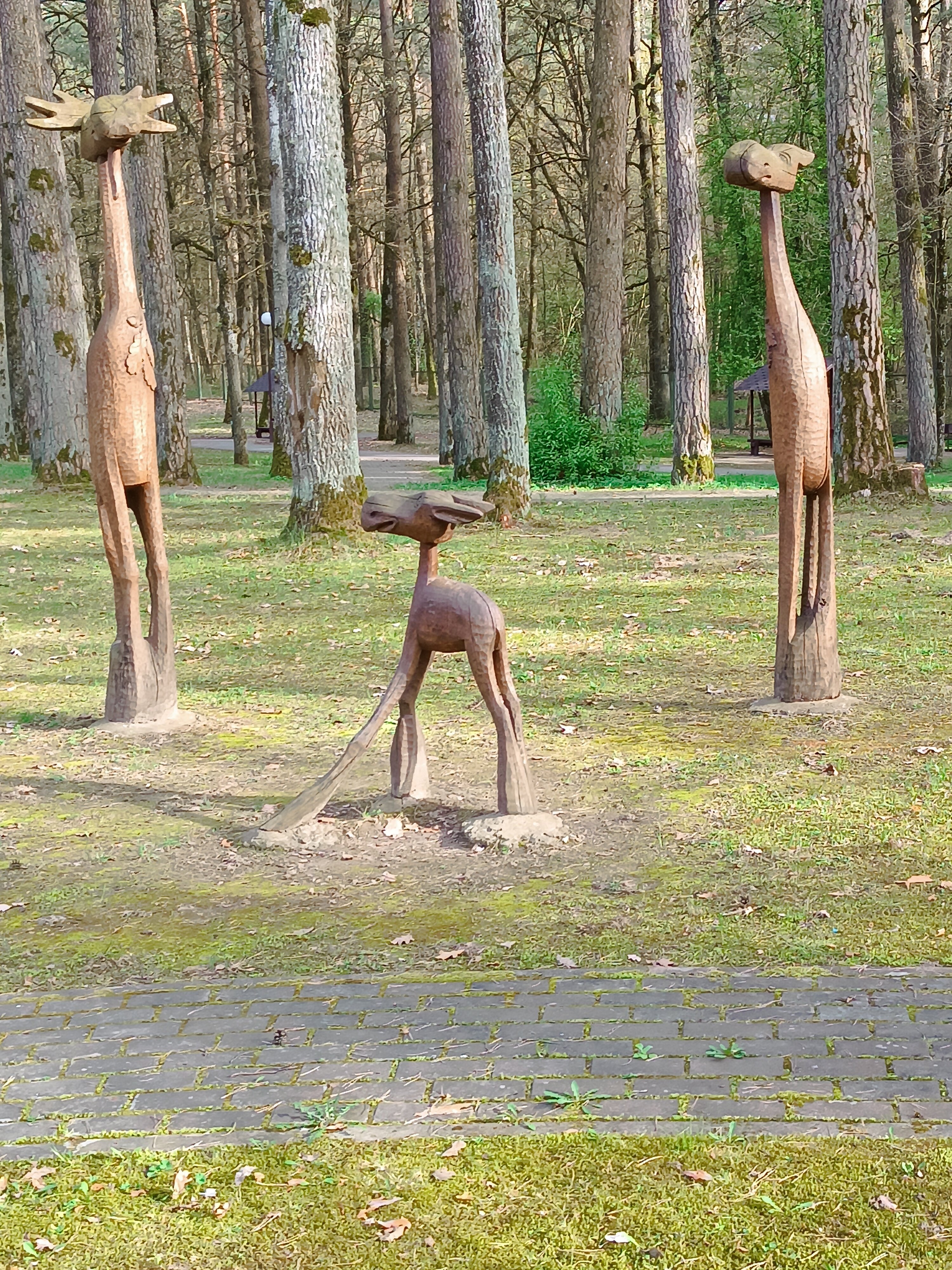 Фото Жемчужина