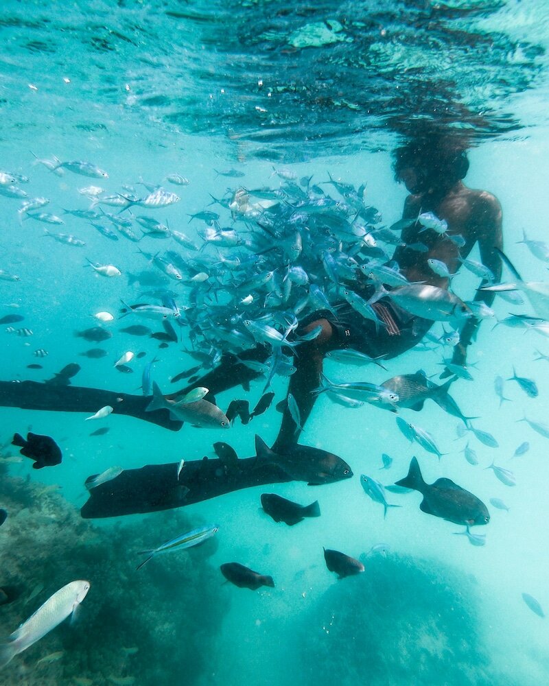 Фото Rasdhoo Apartment Lodge