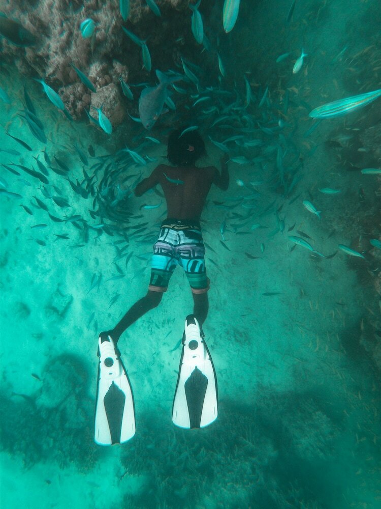 Фото Rasdhoo Apartment Lodge