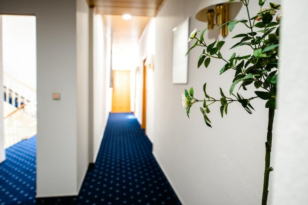 Фото Hotel Fränkischer Hof