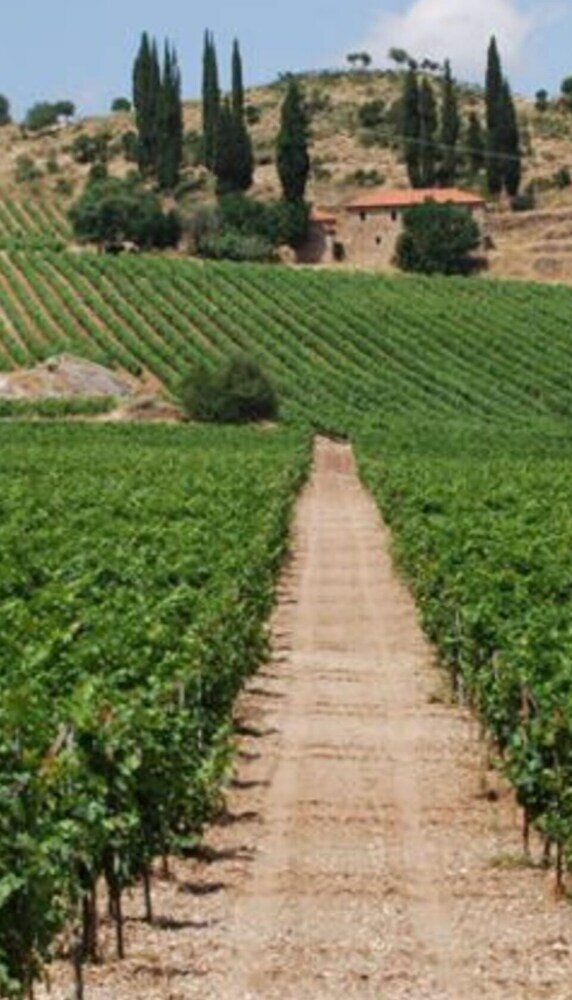 Фото Villa Elaionas 1