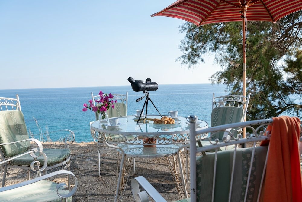 Фото Margarita Apartments