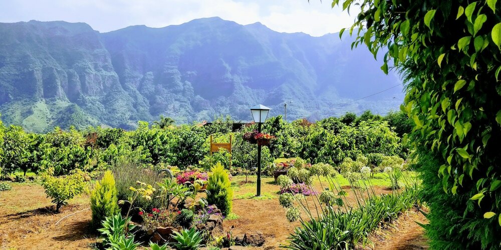 Фото Grannys Farm