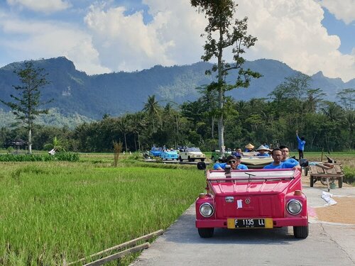 Гостиница Borobudur Bed & Breakfast