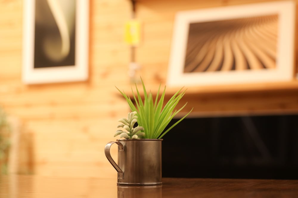 Фото Phottage inn Biei