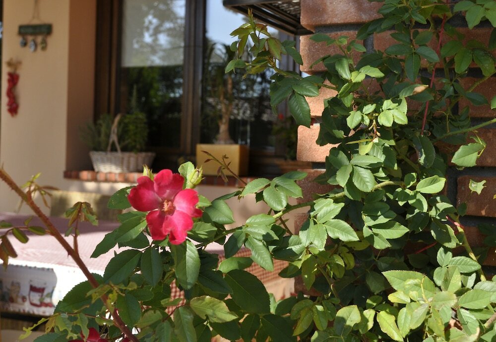 Фото Anna's Mansion