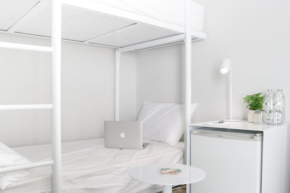 Фото Chocolate Box Mint