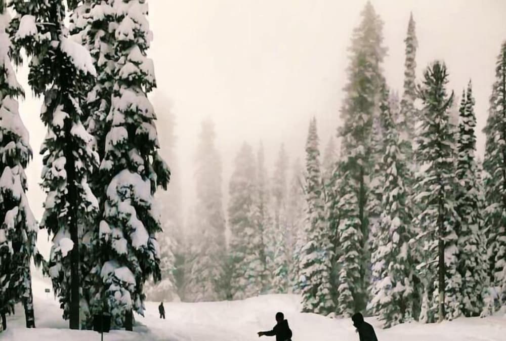 Фото Hannon House