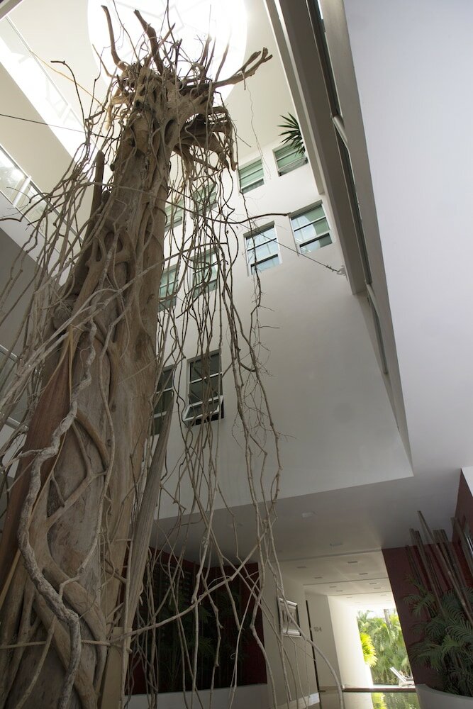 Фото Downtown Apartment Oasis 12