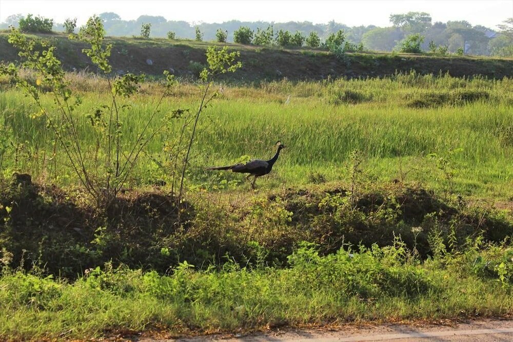 Фото Hotel Sisara