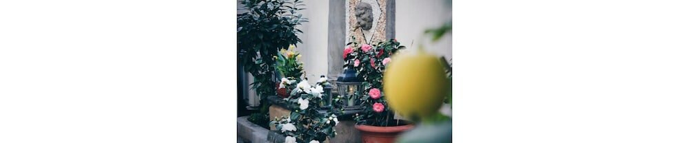 Фото Il Cortile di Elisa