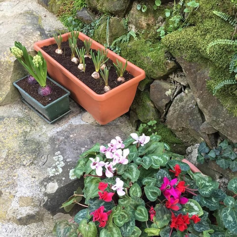 Фото Il Capriolo Bed&Breakfast