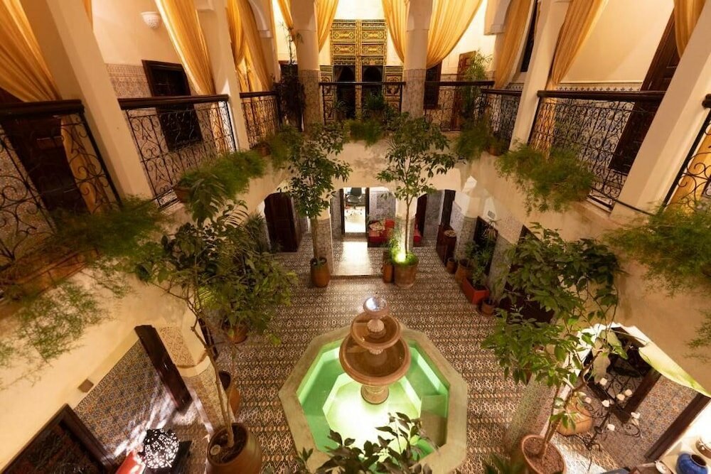 Фото Abelia Riad