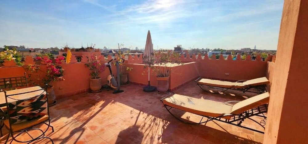 Фото Abelia Riad