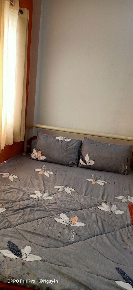 Фото Color Hostel