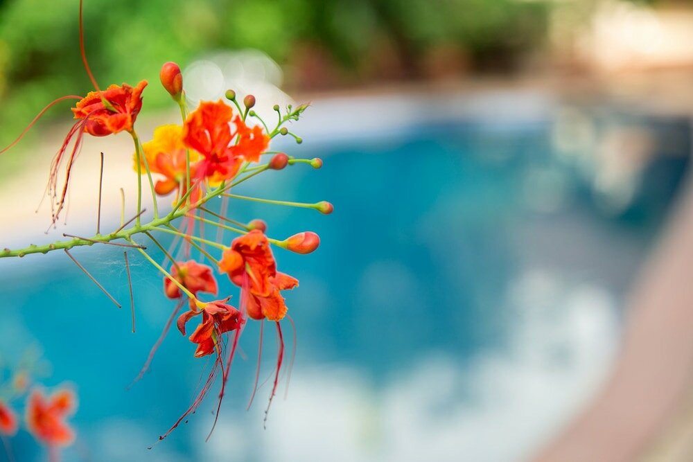 Фото La Cour Hotel Apartments