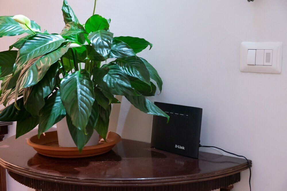 Фото Roma - VIA la Spezia 70