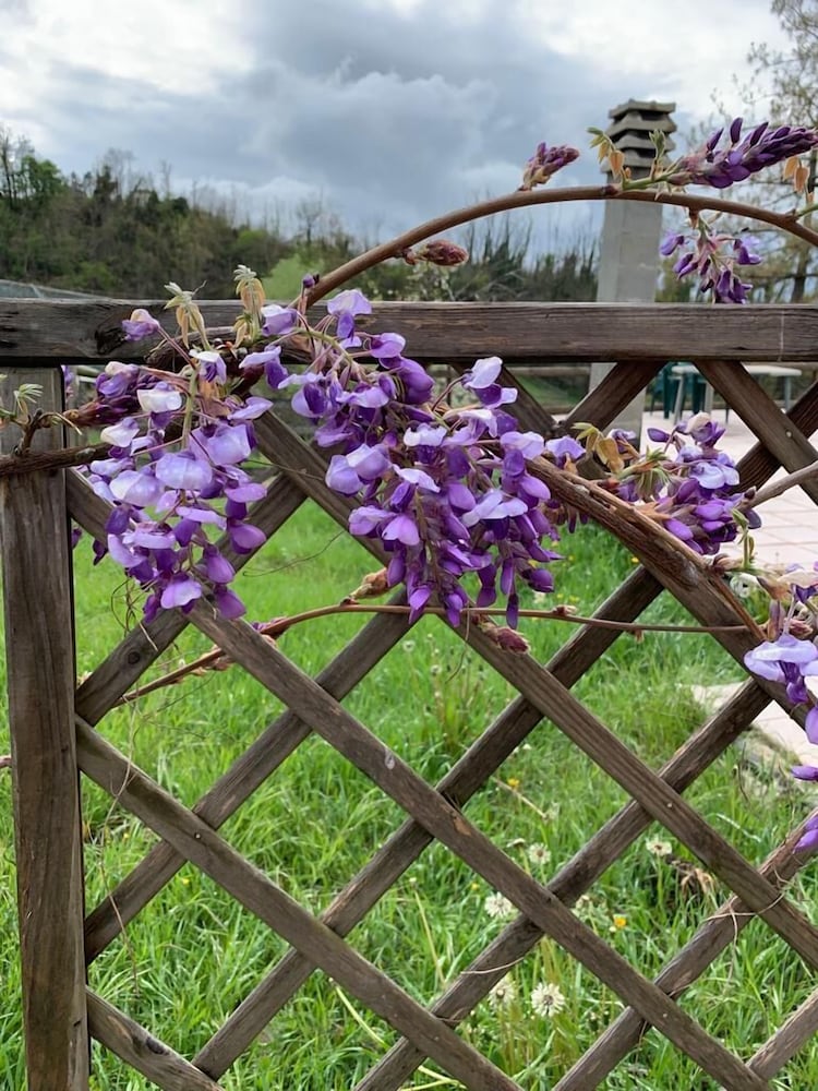 Фото Tenuta di Cascina Diavolo dei Boschi