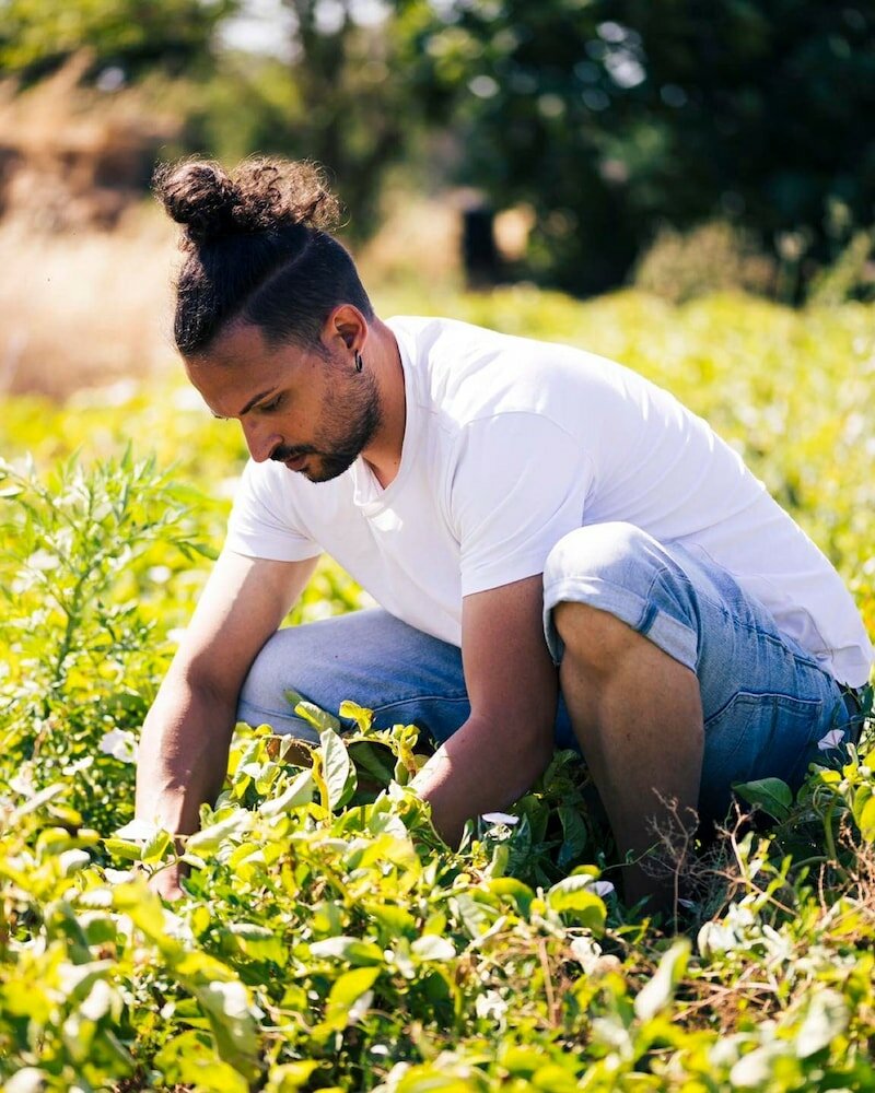 Фото Agriturismo Paradiso