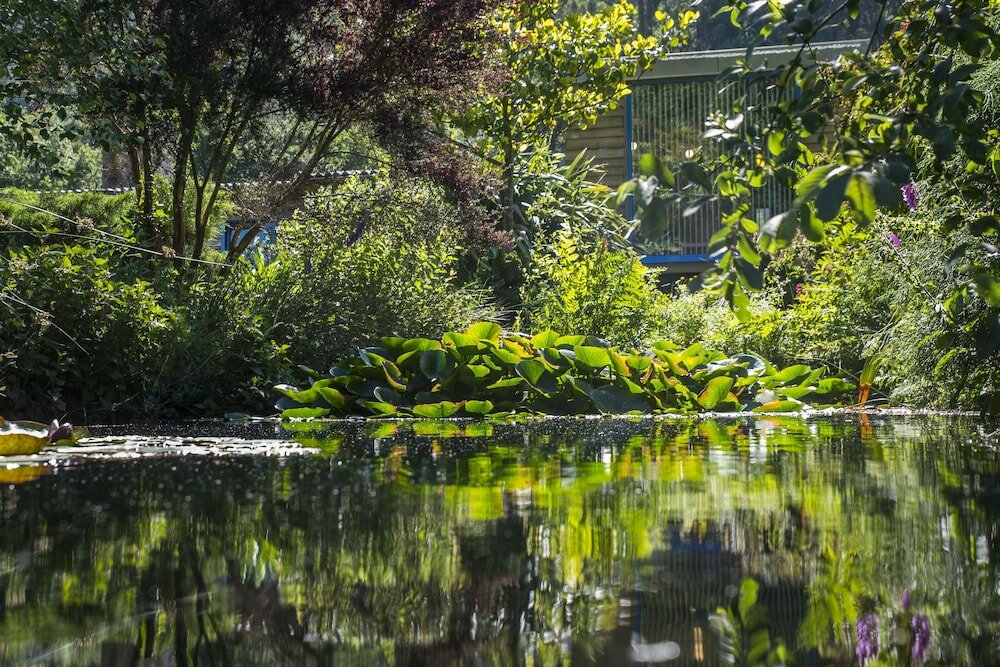 Фото A Cabana de Carmen