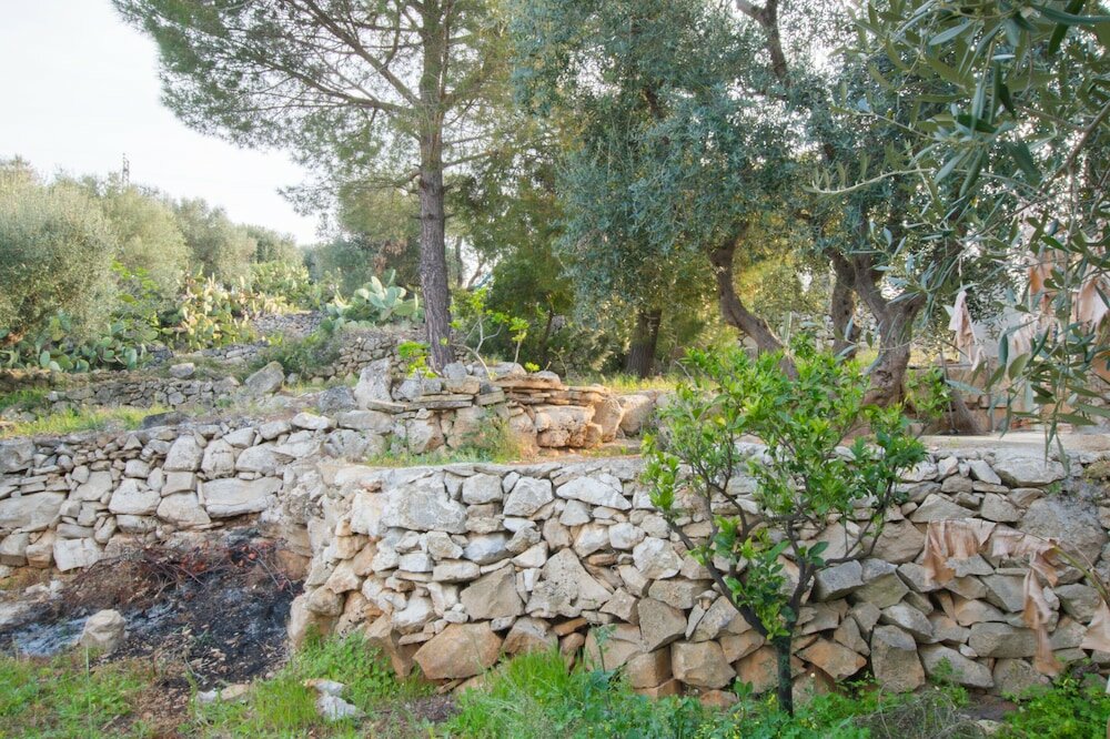 Фото Guesthouse Villa Ilios