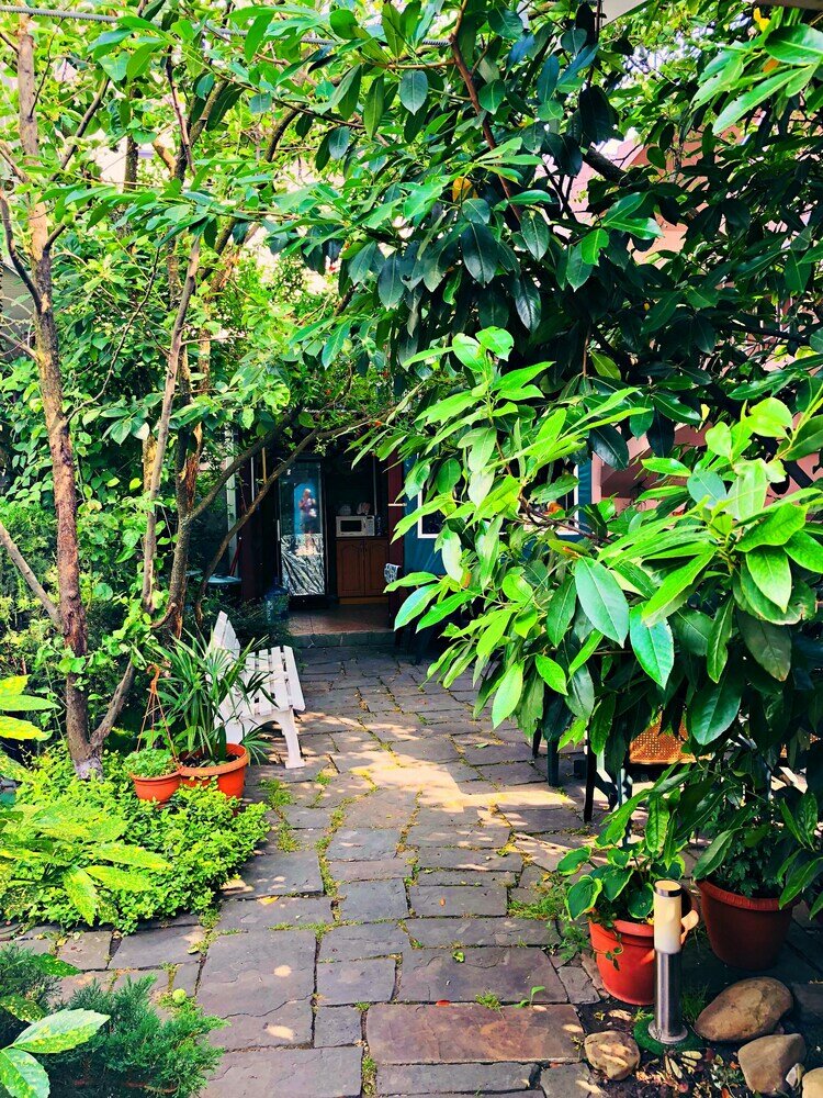 Фото Абрикос