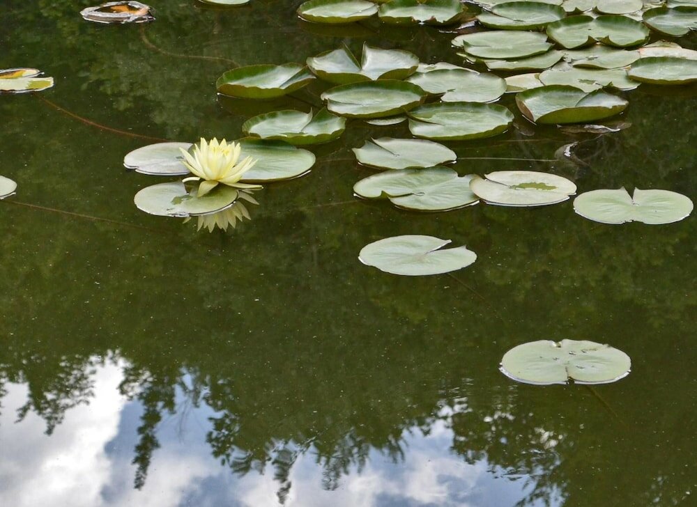 Фото Locanda della Rocca