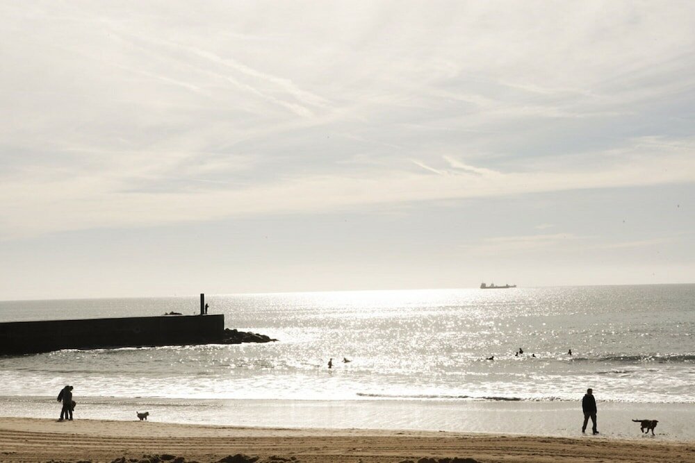 Фото Cushy Apartment with garden in Estoril