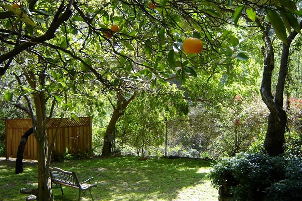 Фото Hollywood Hills Canyon Breezes