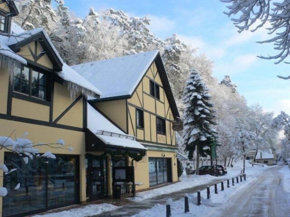 Фото Hotel Sieweburen