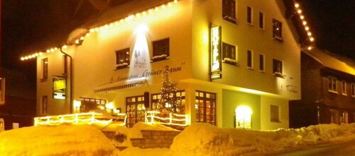 Гостиница Rennsteighotel Grüner Baum