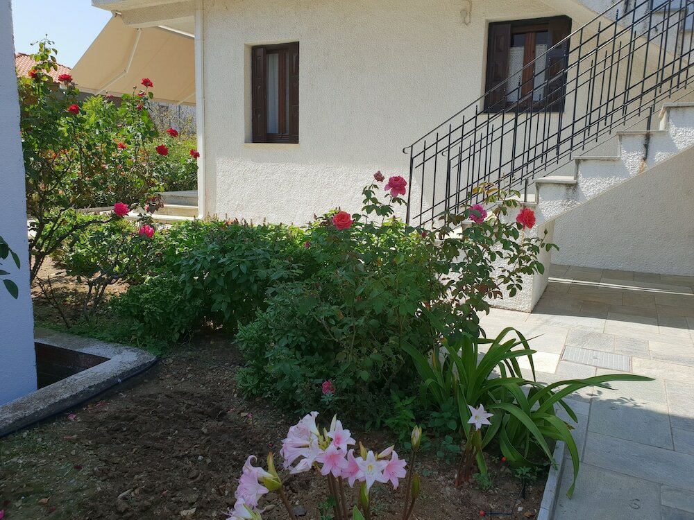 Фото Zmas Studios