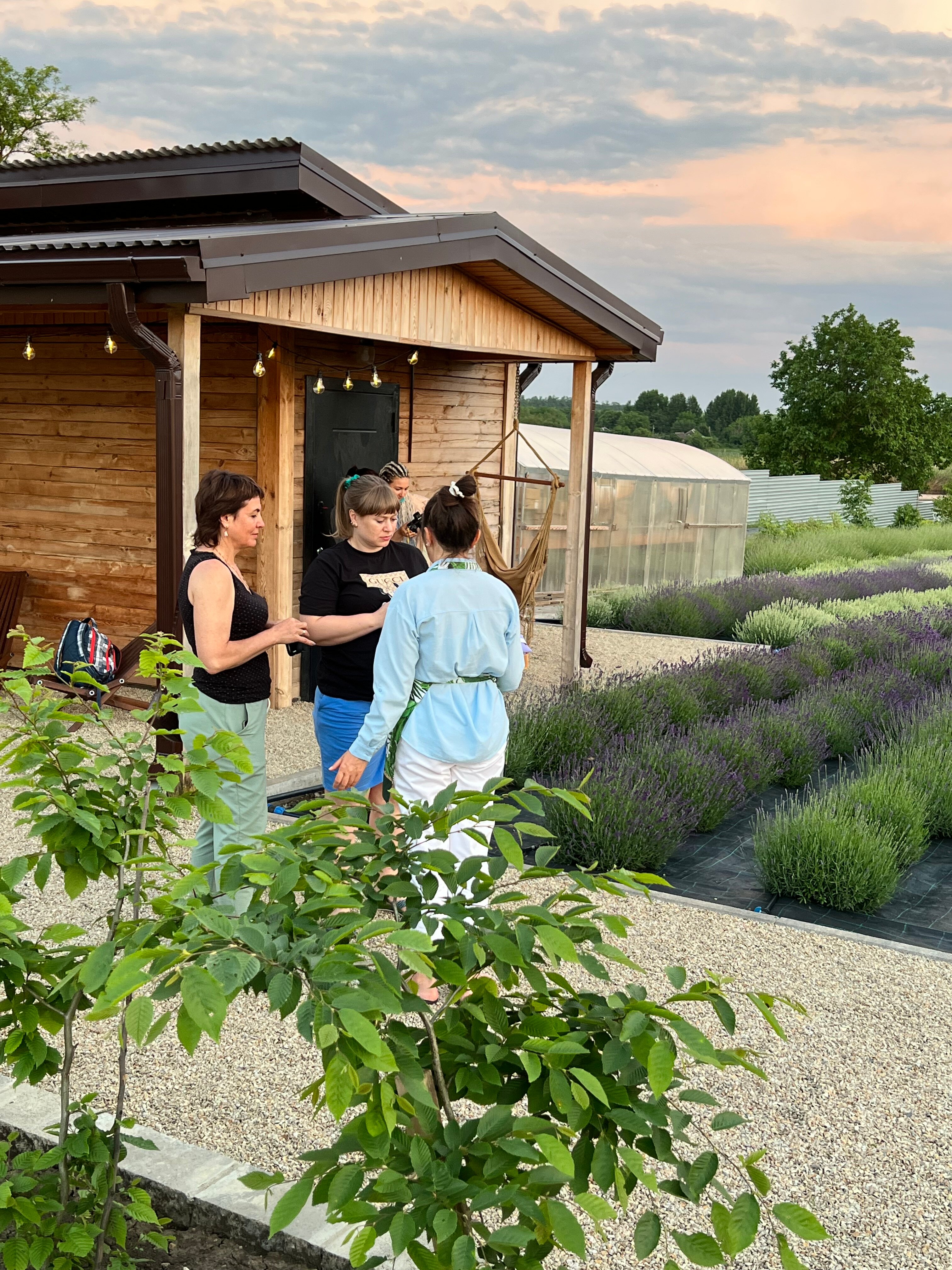 Фото Лавандовые холмы