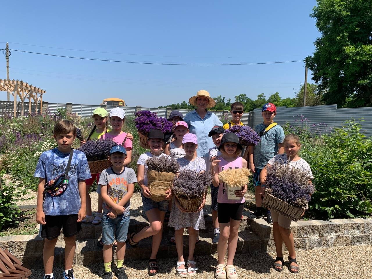 Фото Лавандовые холмы