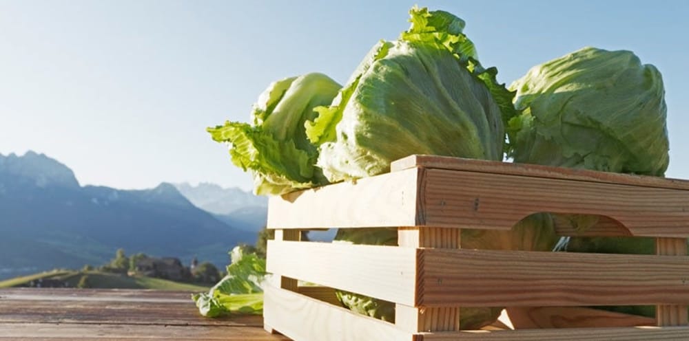 Фото Naturhotel die Waldruhe