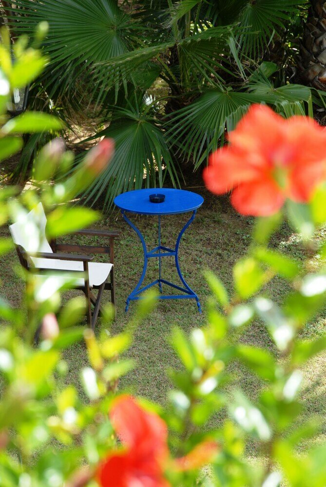 Фото Villa Fleria