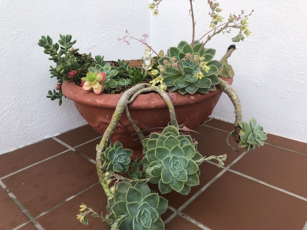 Фото BlueSky Guest House Arniston