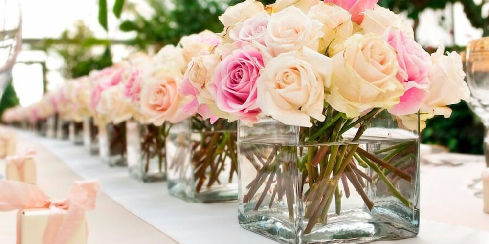 Фото Anemomylos Bungalows