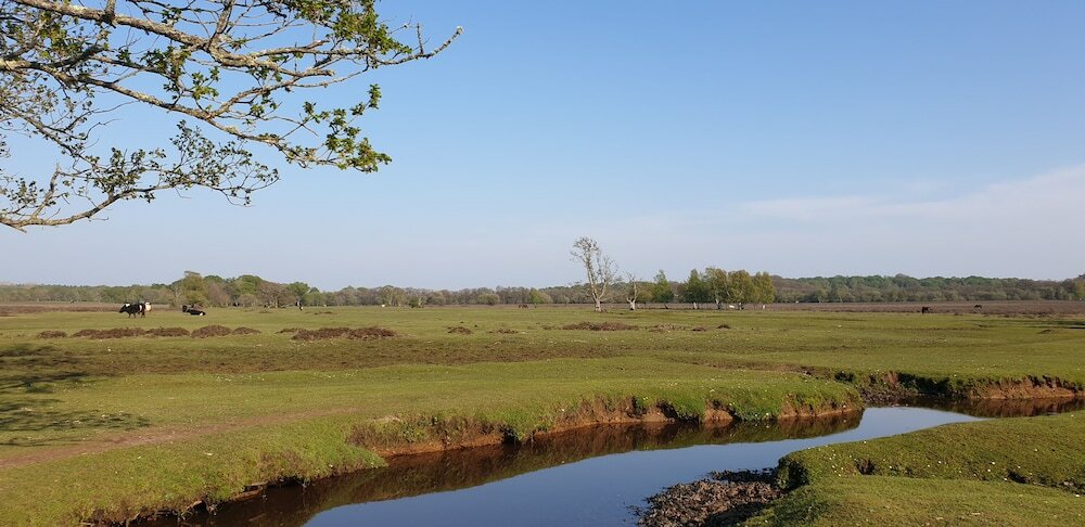 Фото Town or Country - Greenwich Apartments