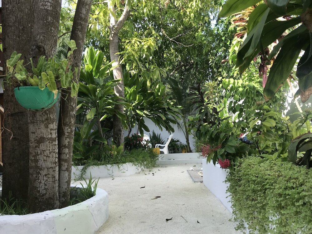 Фото Rasdhoo Dive Lodge