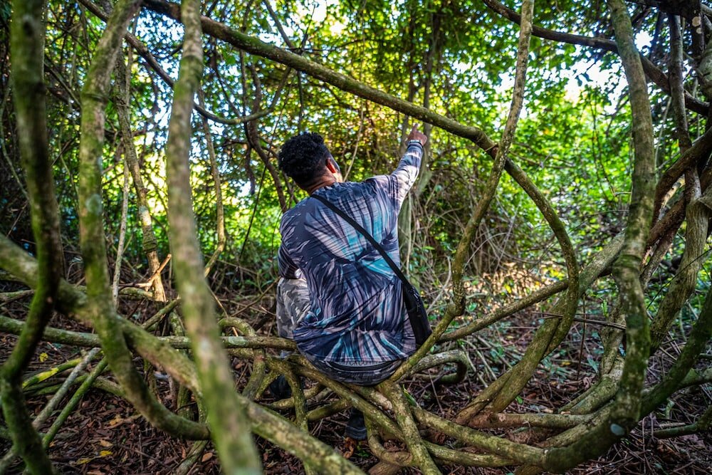 Фото Pousada Eco Luar