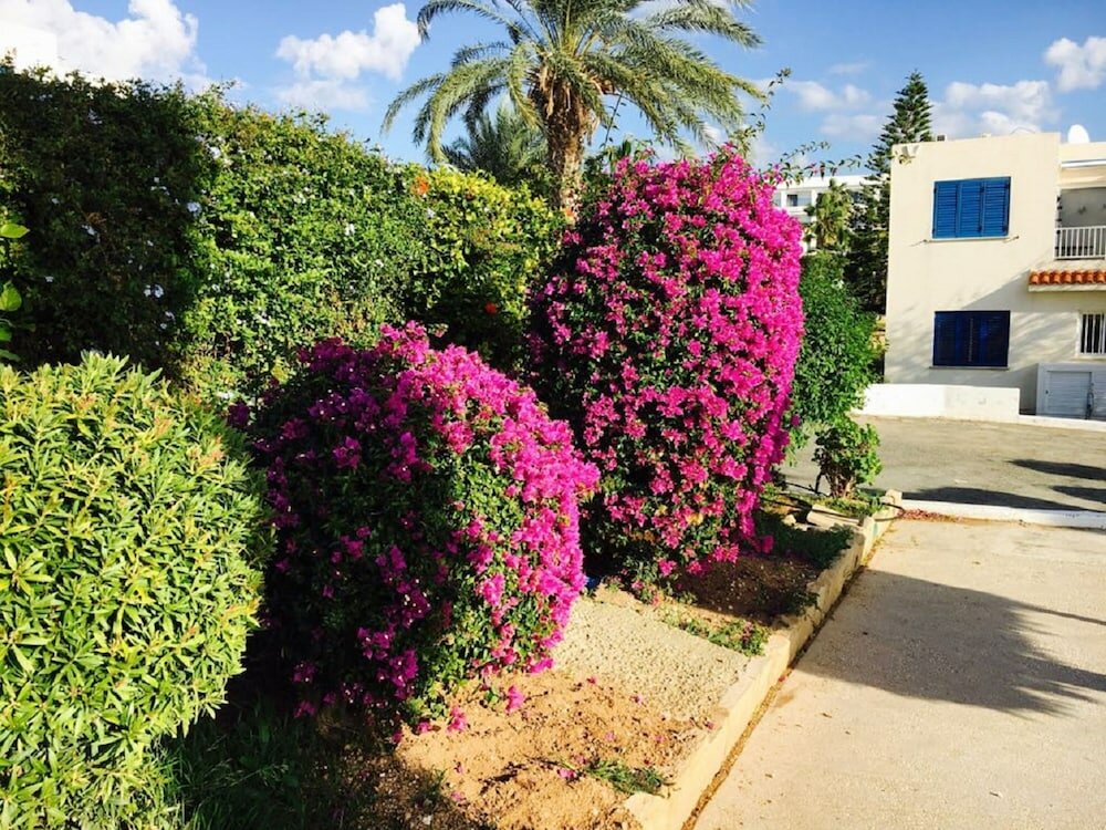 Фото Apartment in Kato Paphos