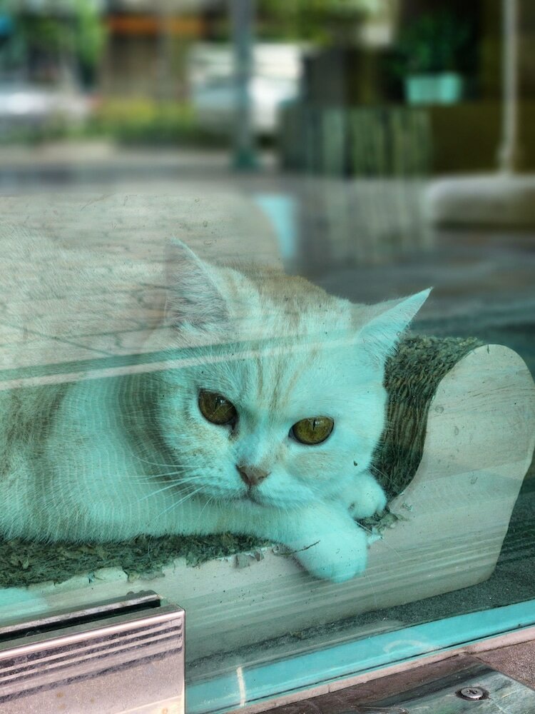 Фото Double D Rooms & Cafe