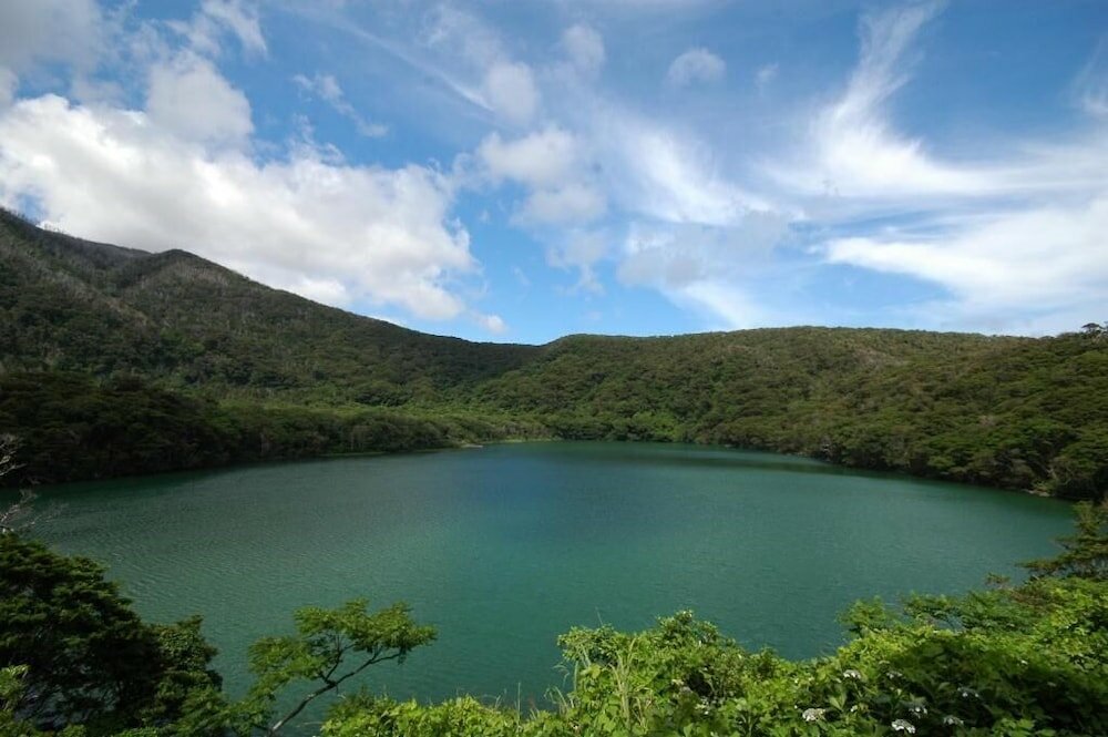 Фото Snapper inn