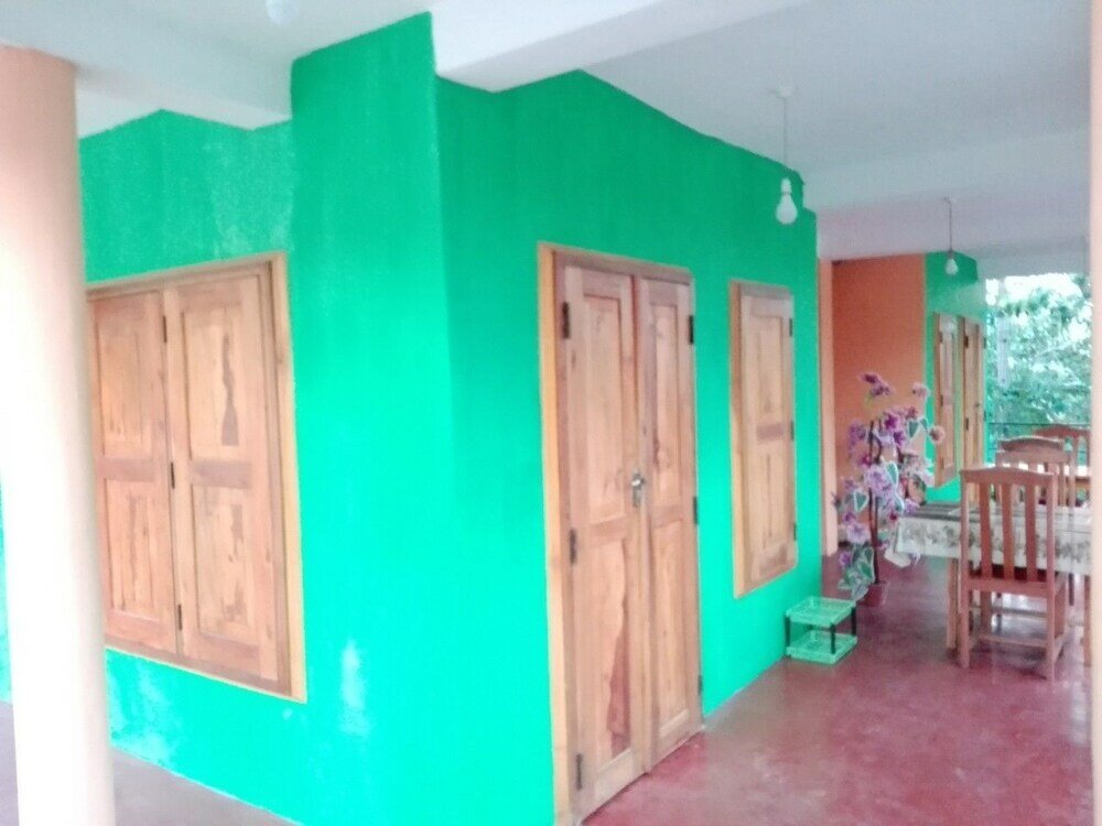 Фото New Green View