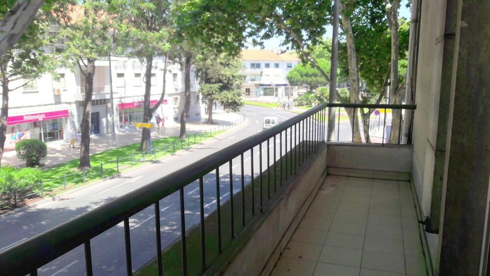 Фото Palm Guesthouse