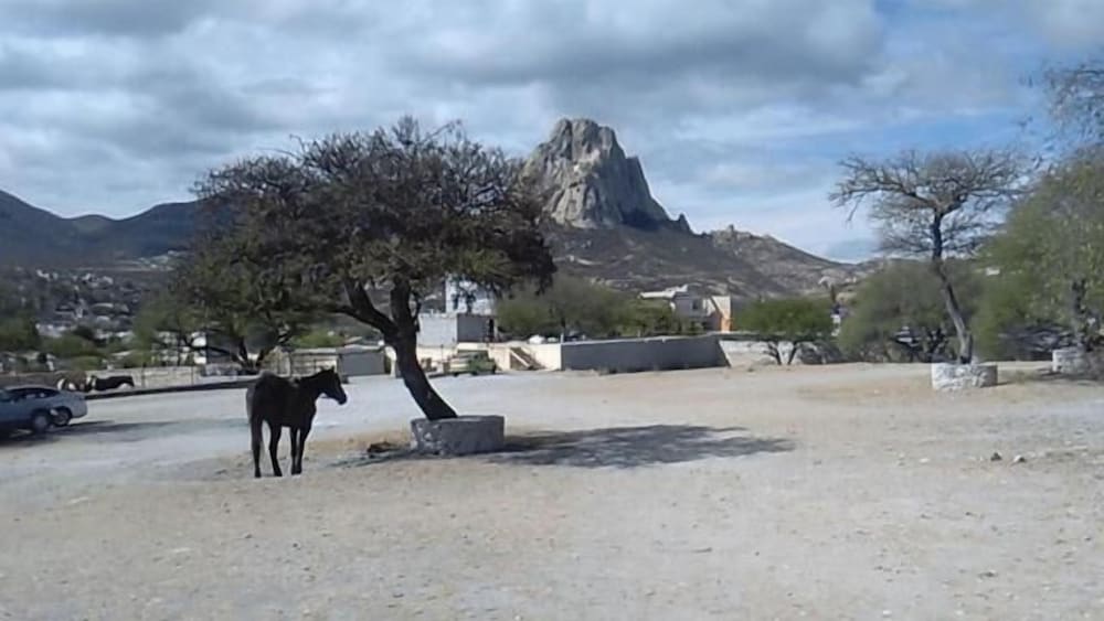 Фото Hotel Villa Aurora