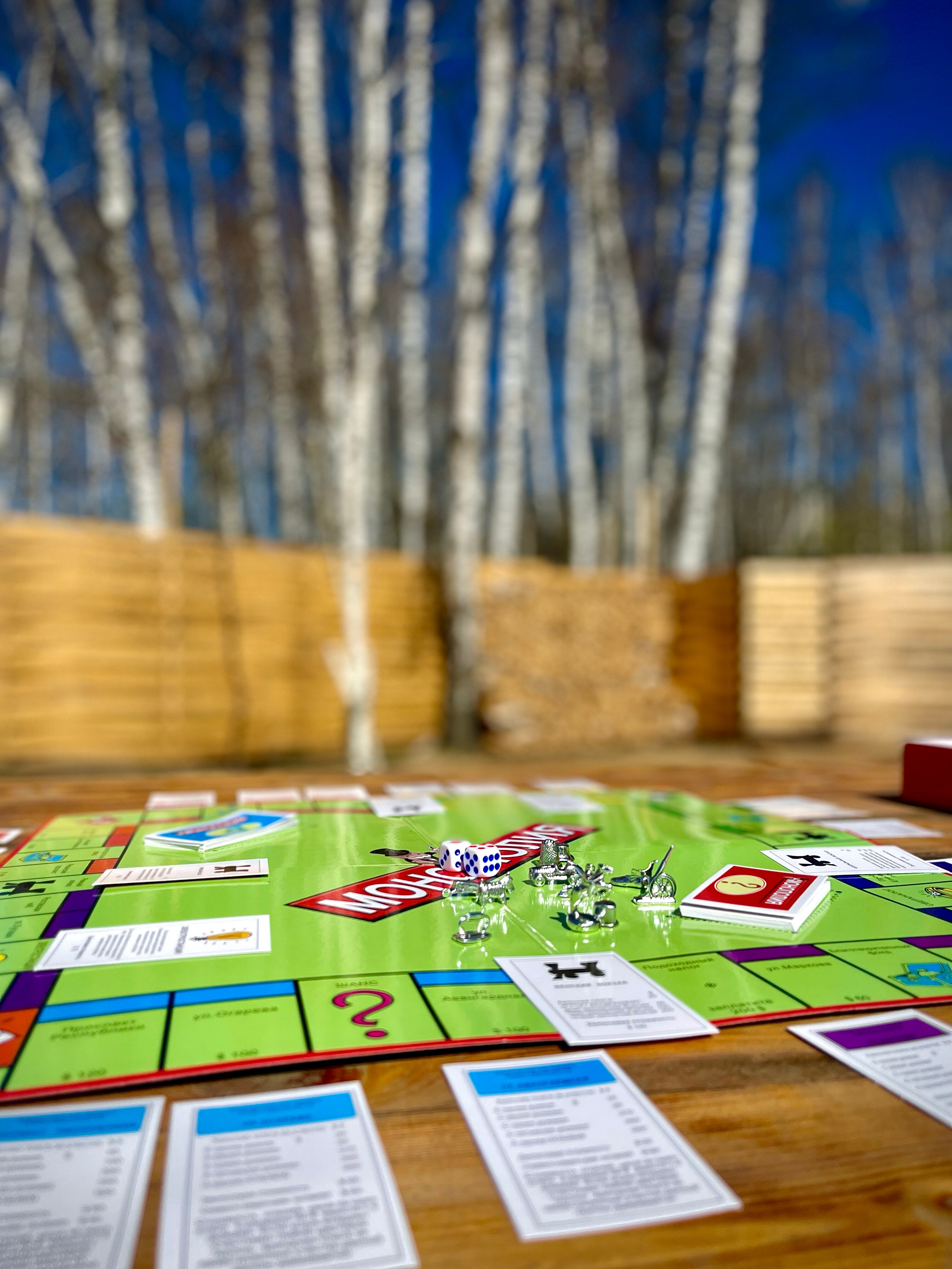 Фото Лесное Патио